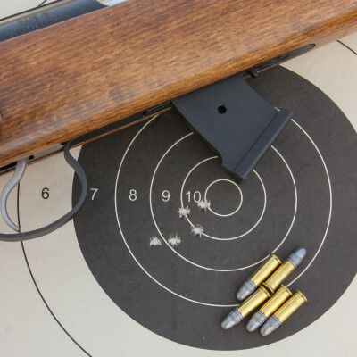 a shot target with ammo
