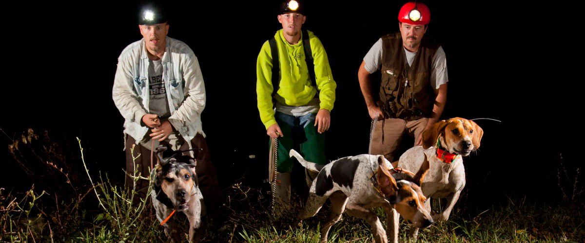 3 hounds being let off their leashes at night