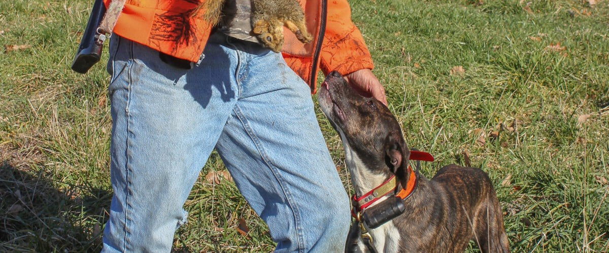 hunter holding a dead squirrel next to a dog