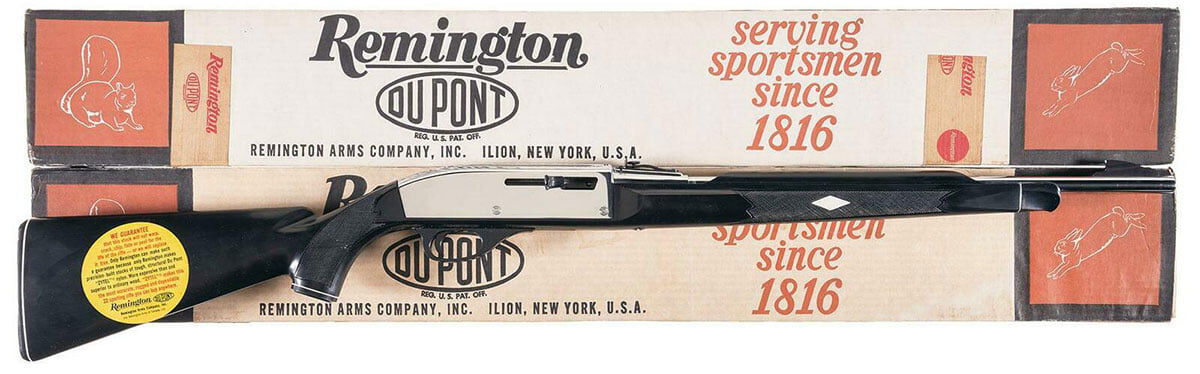 Remington Nylon 66 rifle