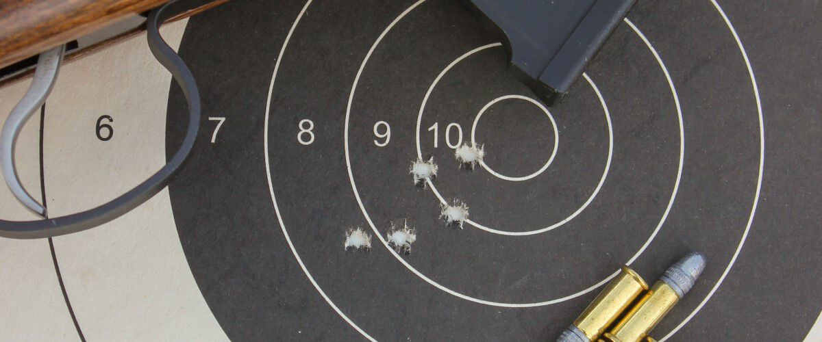 a shot target with ammo