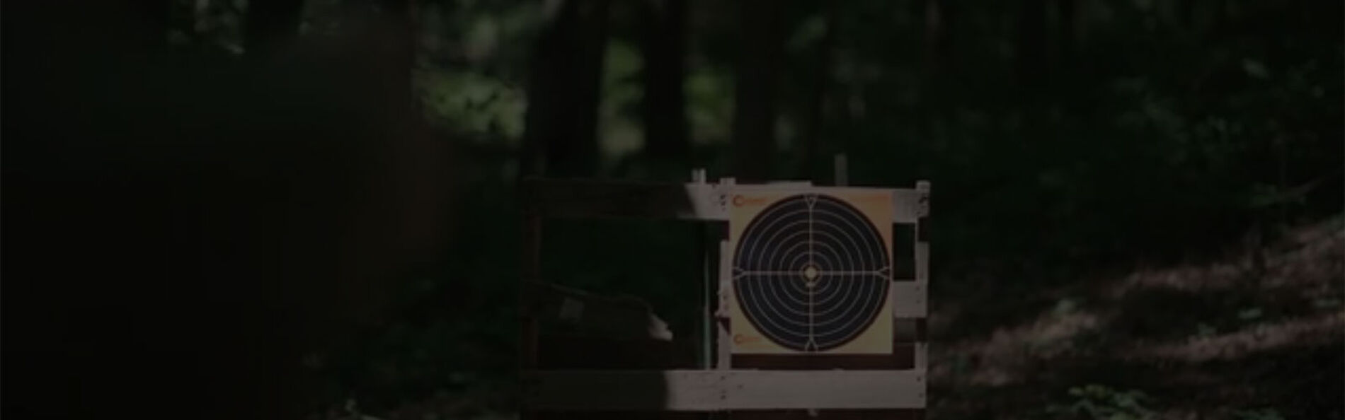 target in a wooded area