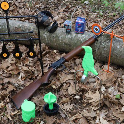 ammo and targets sitting on a log outside