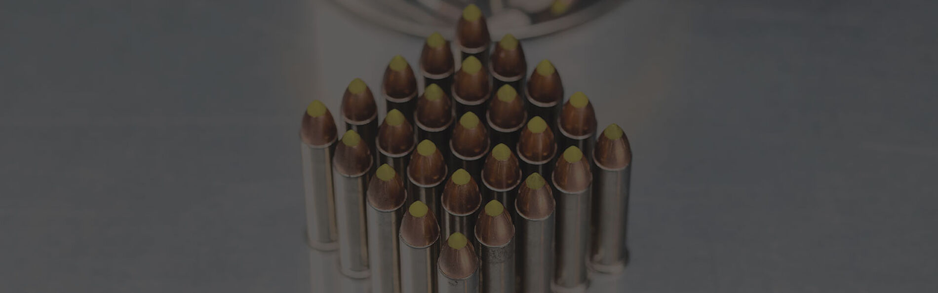 22WMR ammo standing on a table