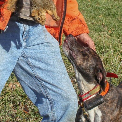 hunter holding a dead squirrel next to a dog