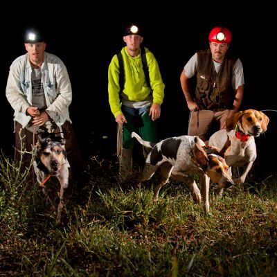 3 hounds being let off their leashes at night