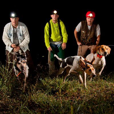 3 hounds being let off their leashes at night