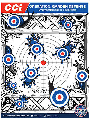 CCI paper target page 1