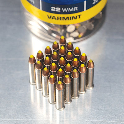 22WMR ammo standing on a table