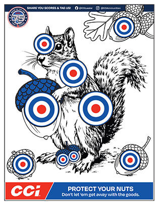 CCI Paper Target page 1
