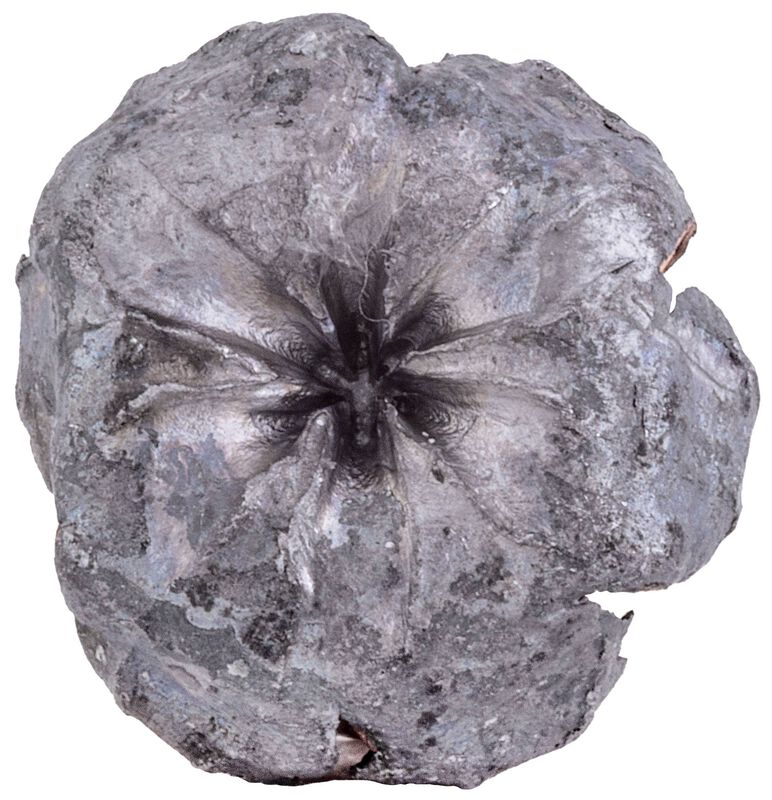 Uppercut, 22 LR, 32 Grain, Jacketed Hollow Point, 950 fps