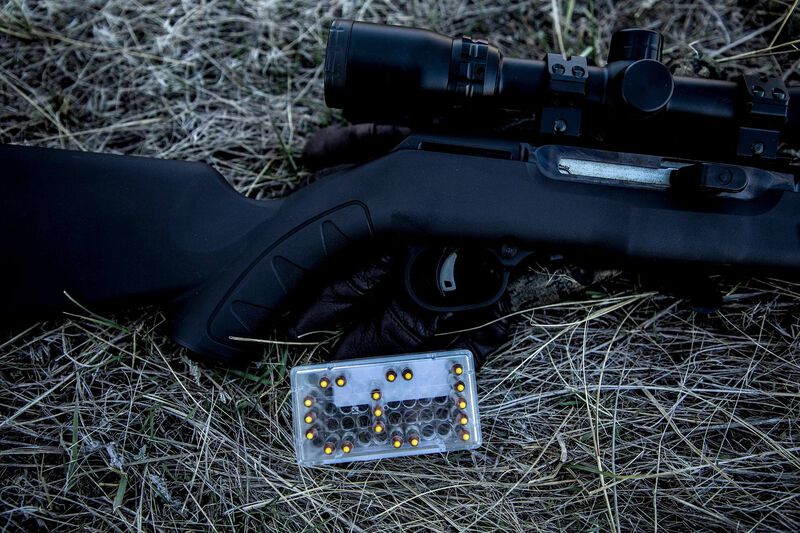 TNT, 17 HMR, 17 Grain, Jacketed Hollow Point, 2550 fps