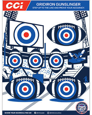 football target